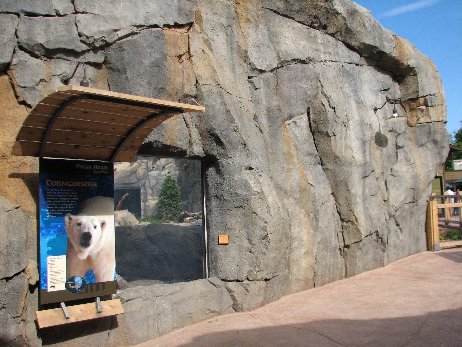 Great Bear Wilderness - Second Polar Bear Exhibit - First Outdoor Viewing A