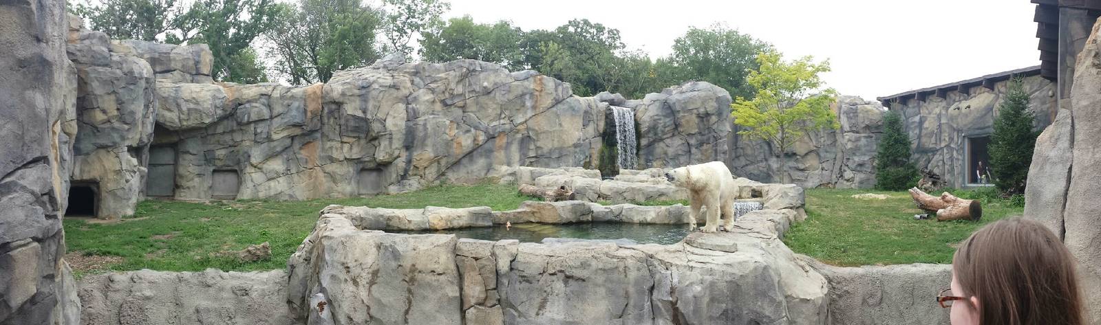 Great Bear Wilderness - Second Polar Bear Exhibit