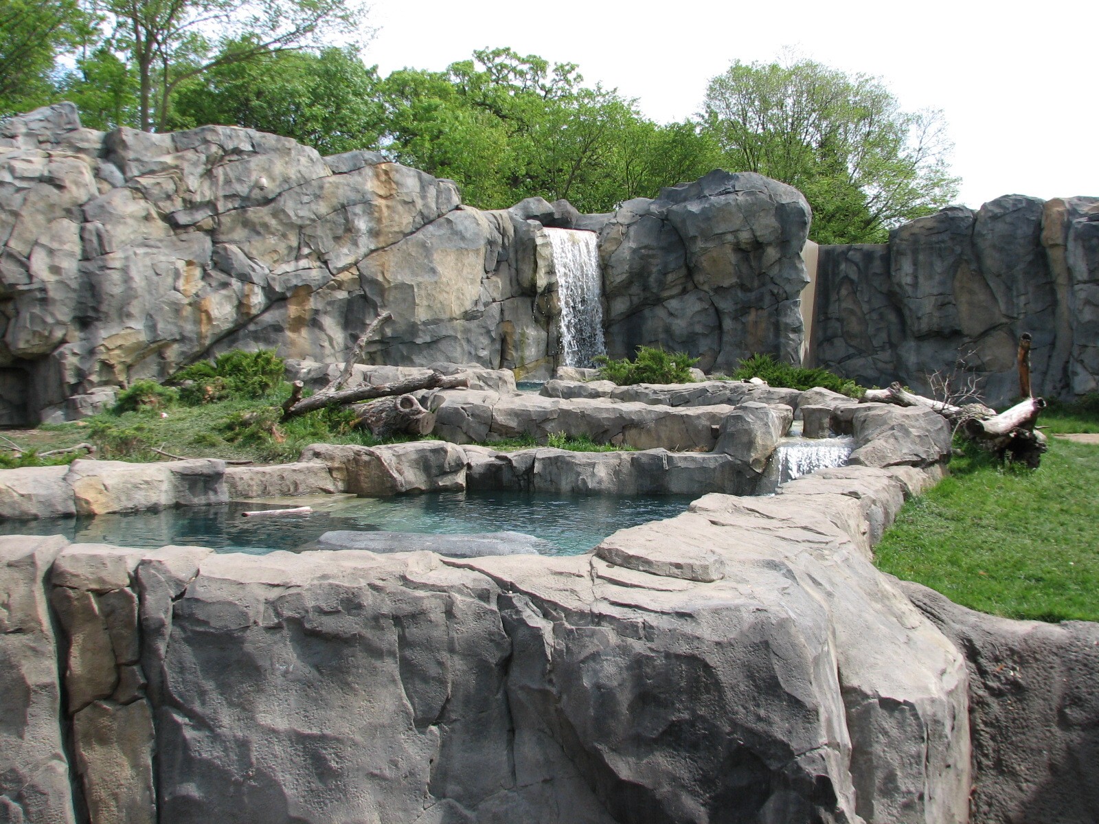 Great Bear Wilderness - Second Polar Bear Exhibit