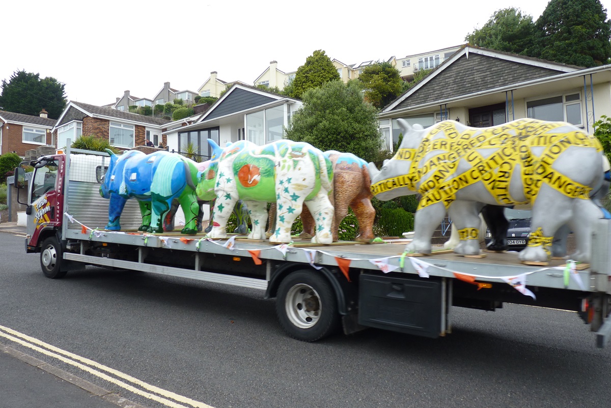 Great Big Rhinos, 9 July 2016