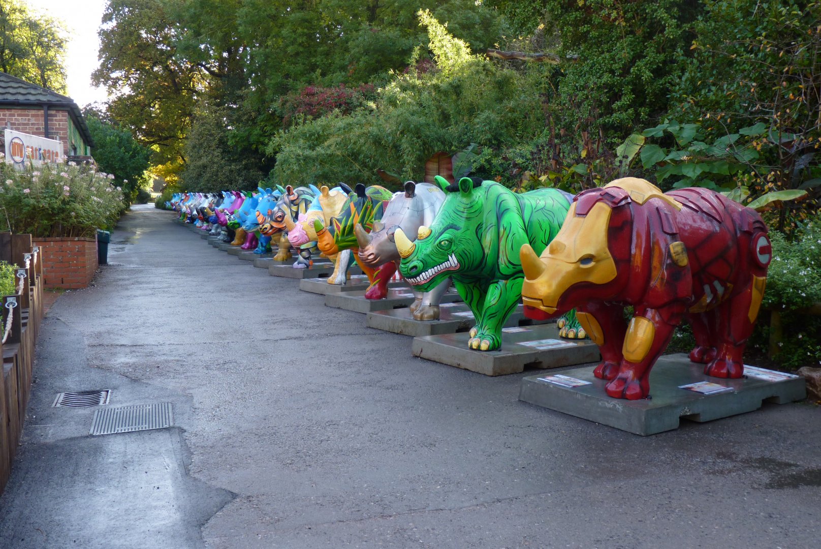 Great Big Rhinos, October 2016