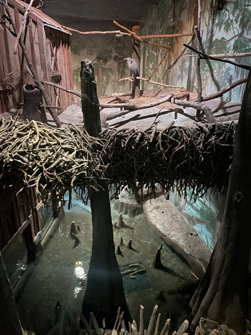 Great Blue Heron and Beaver Exhibits