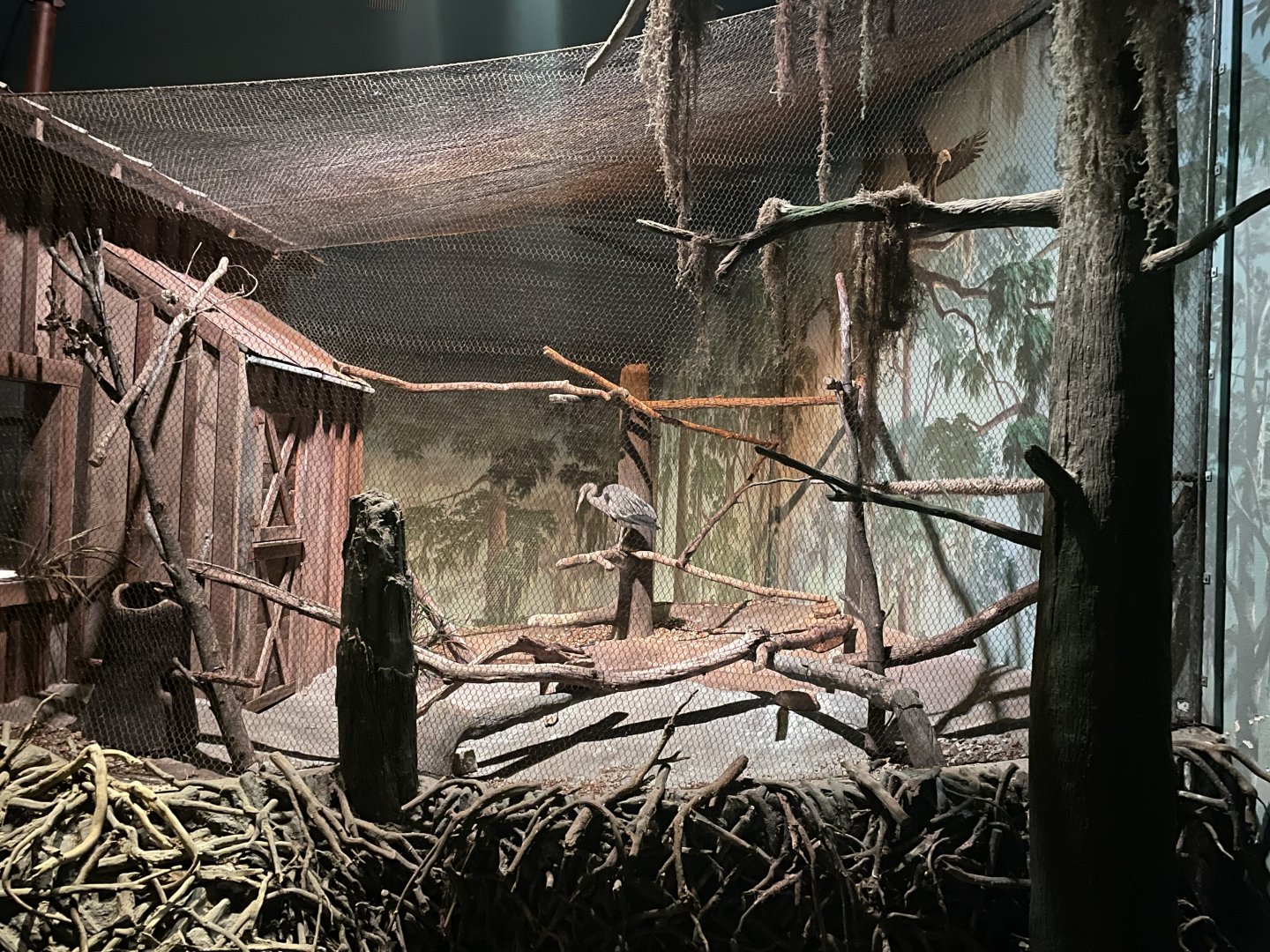 Great Blue Heron Exhibit