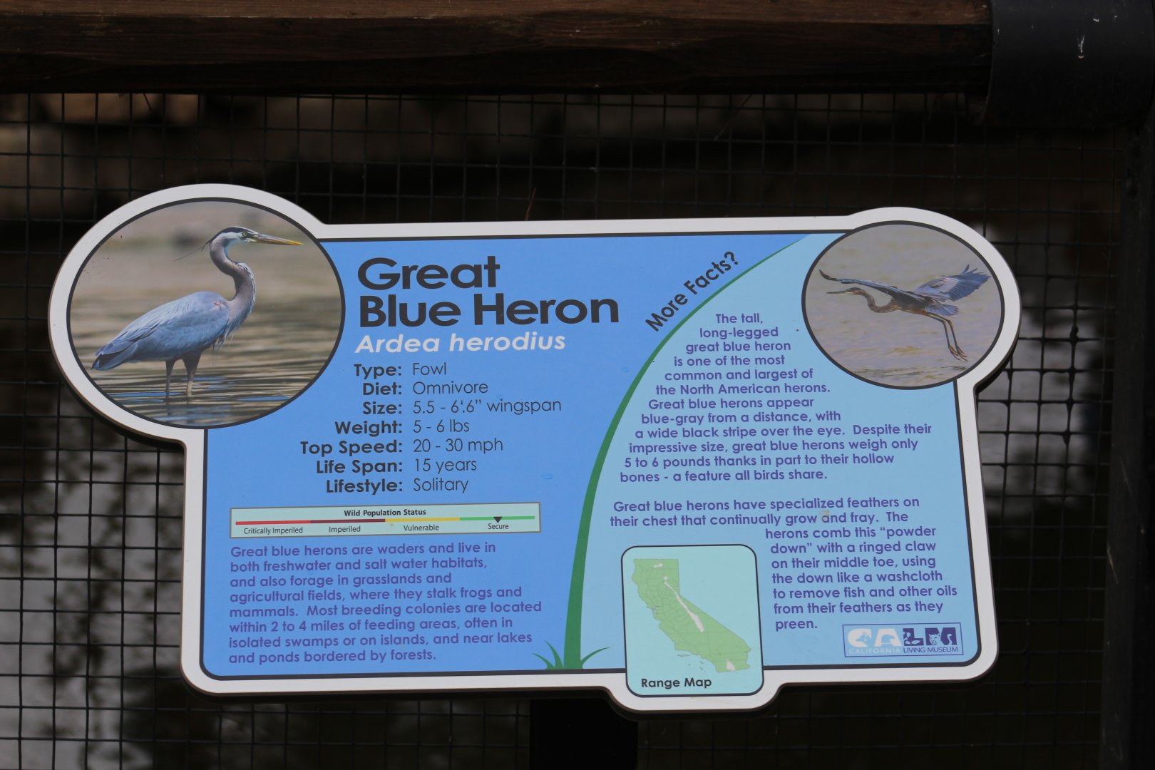 Great Blue Heron Signage