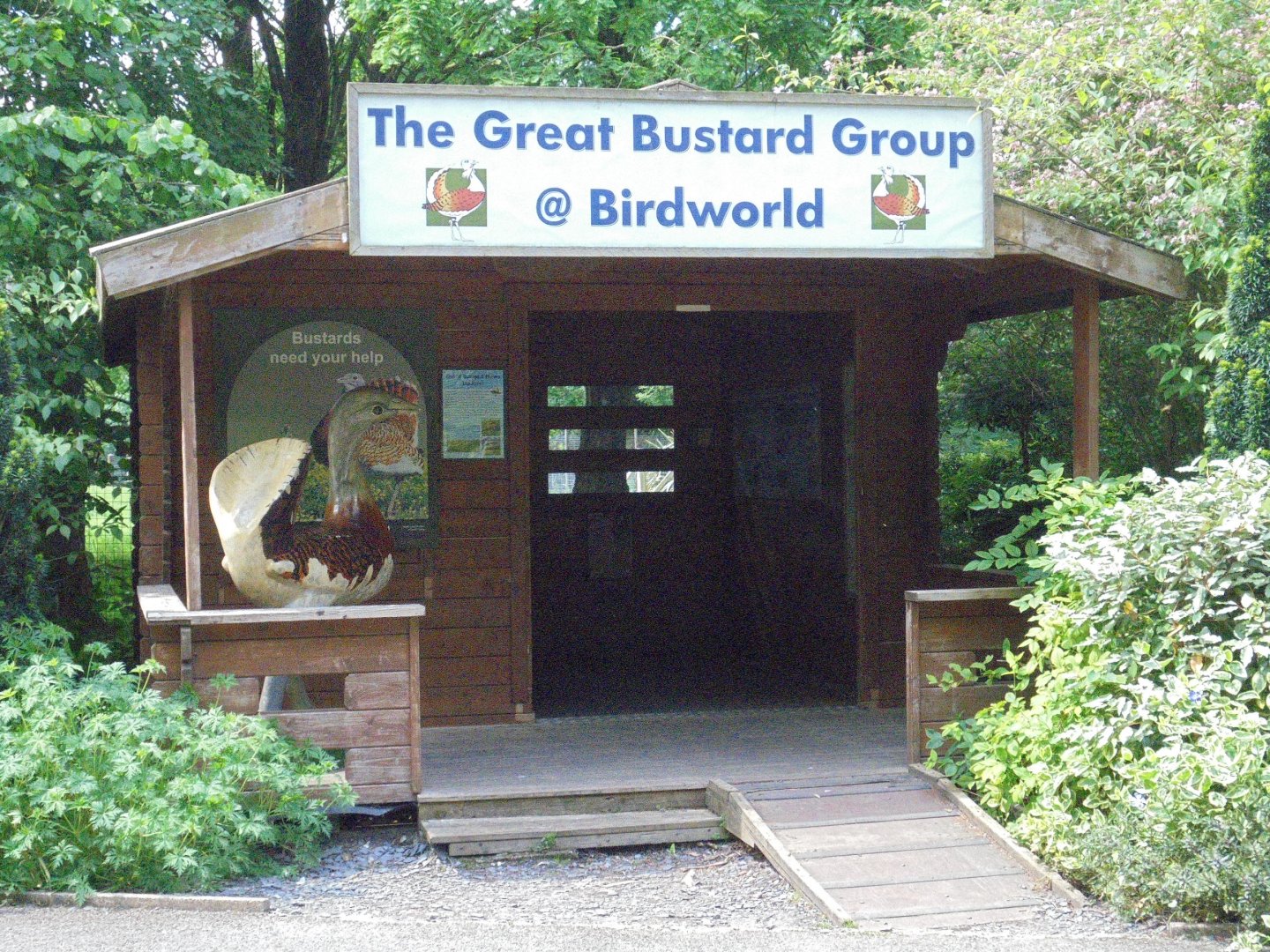 Great Bustard Enclosure 2017