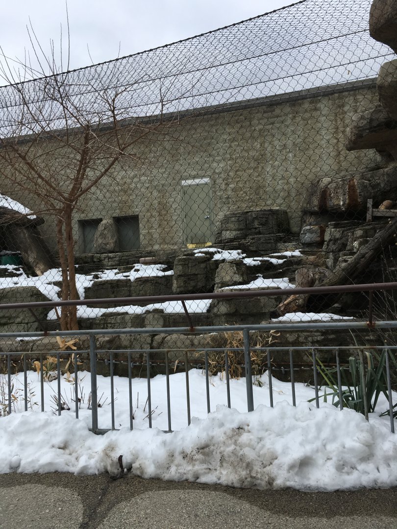 Great Cat Canyon - Lynx Exhibit