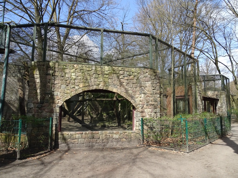 Great cat enclosure (currently lion?)