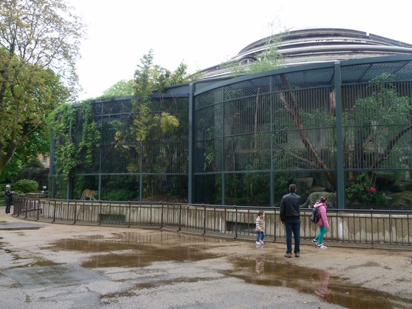 Great Cat house exterior