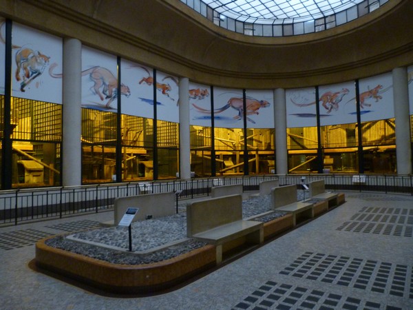 Great Cat House Interior