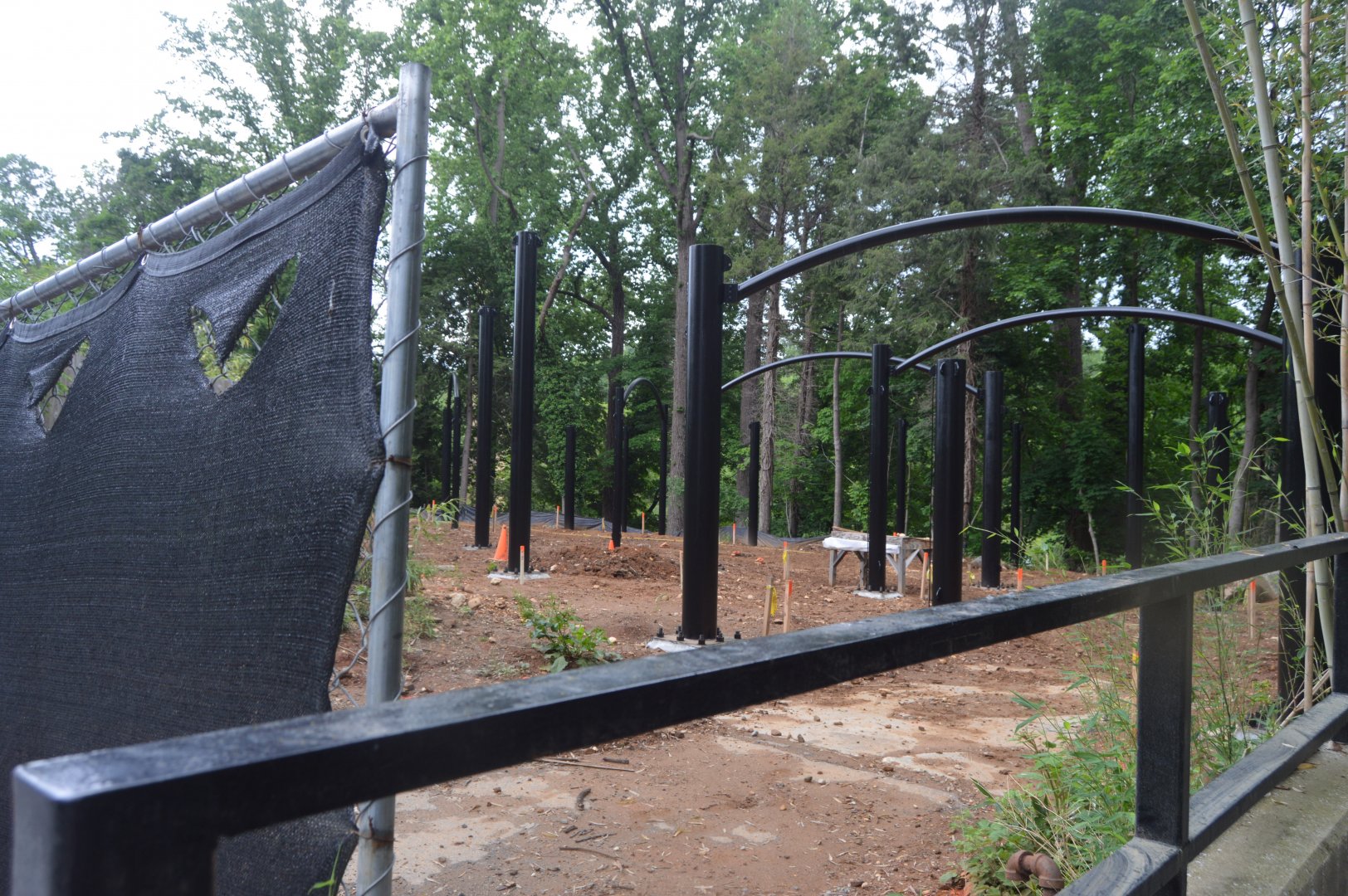 Great Cats - Construction