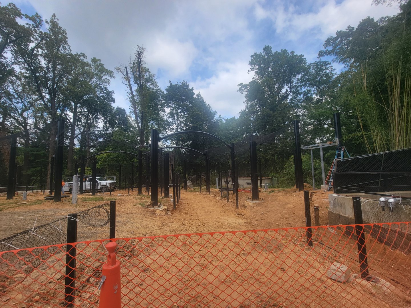 Great Cats - New Exhibit Construction