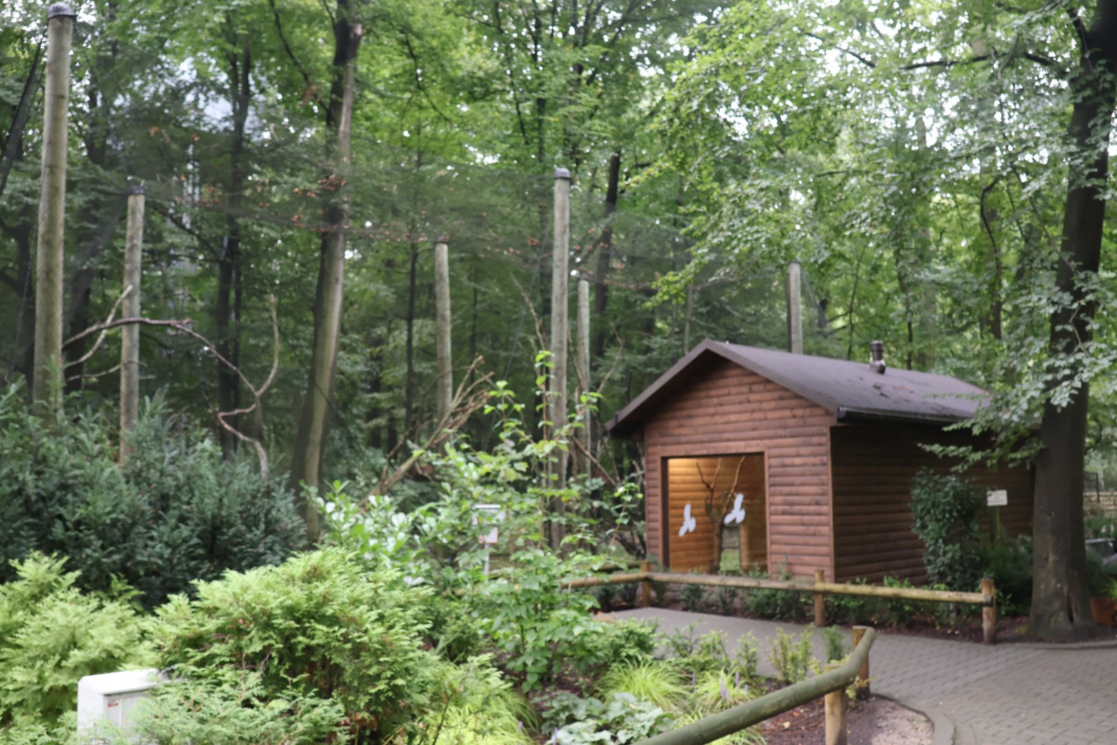Great Curassow aviary