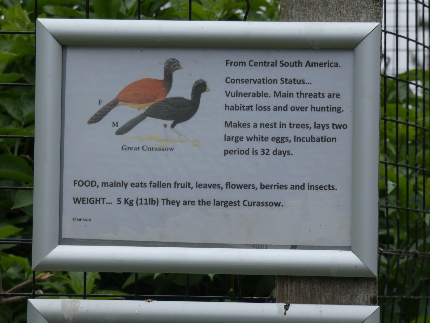 Great Curassow Signage