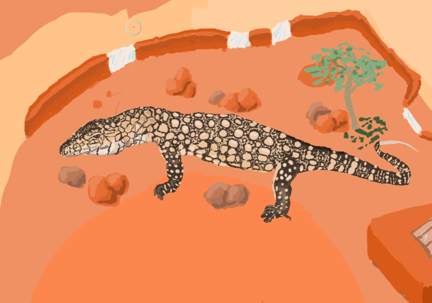 Great Deserts of the West Map Perentie Detail