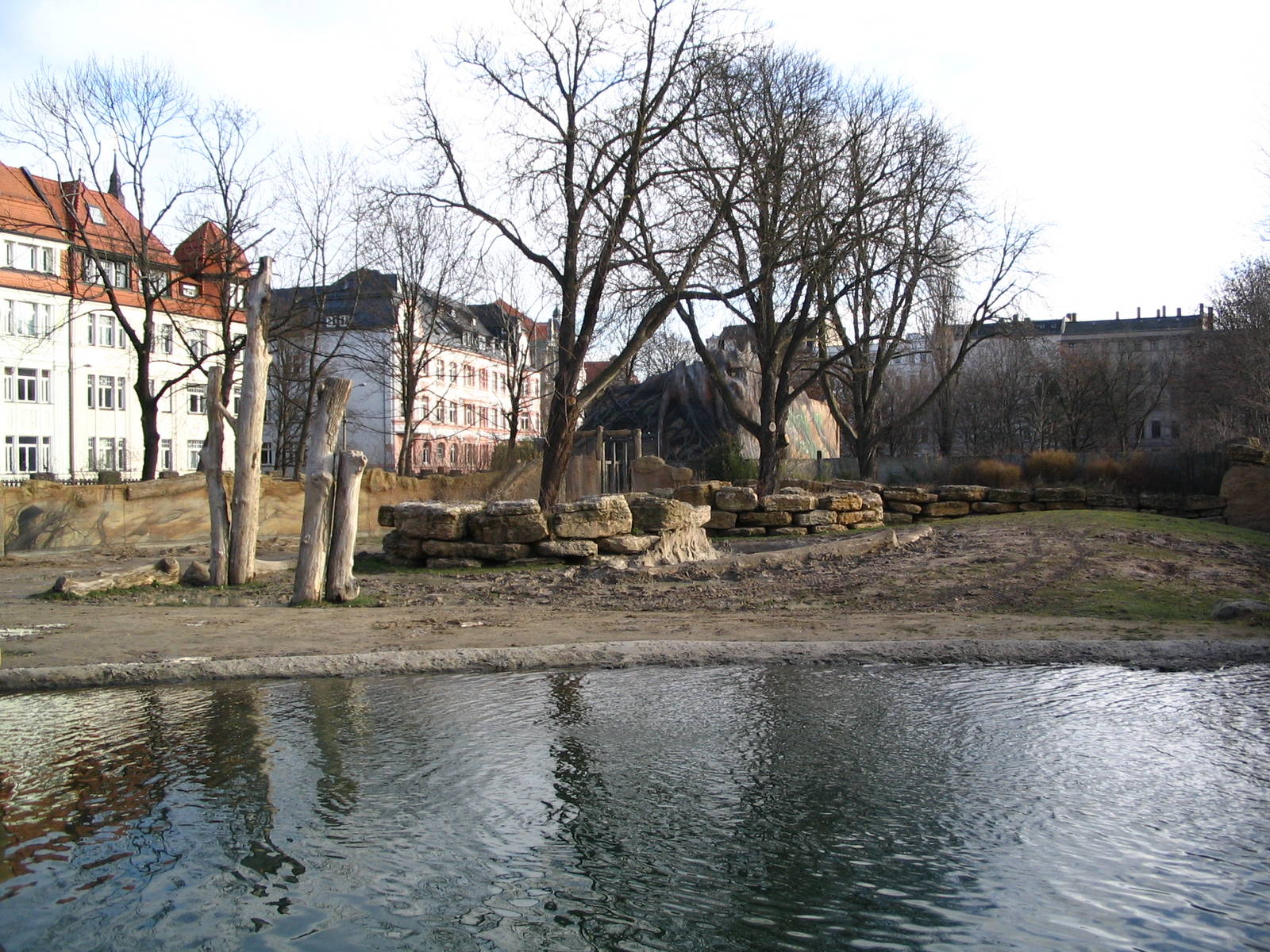 Great elephant outdoor enclosure