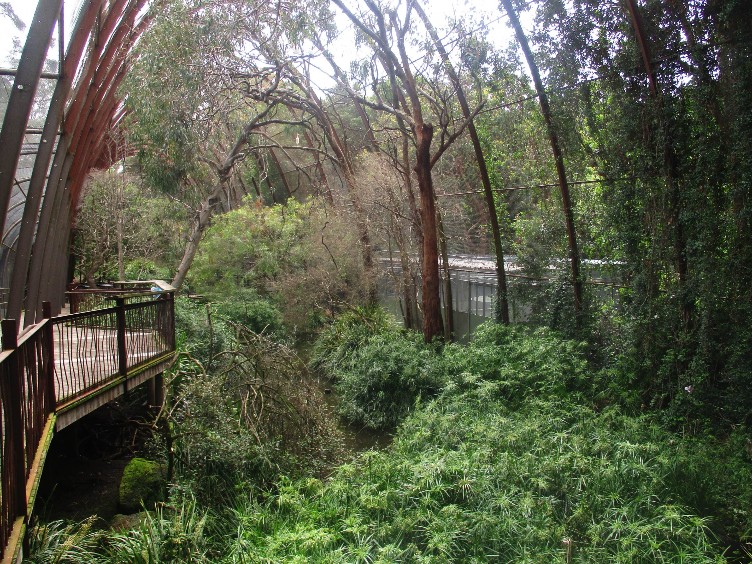 Great Flight Aviary Interior