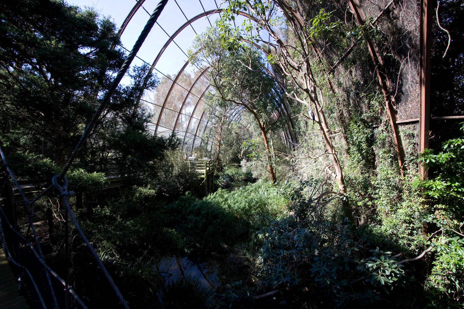 Great Flight Aviary - Sep 2008