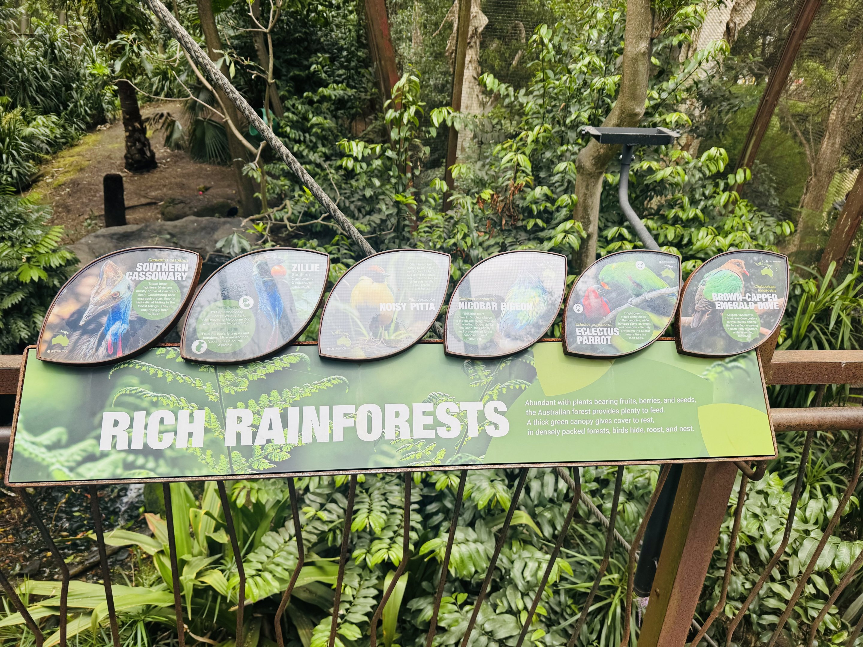 Great Flight aviary signage