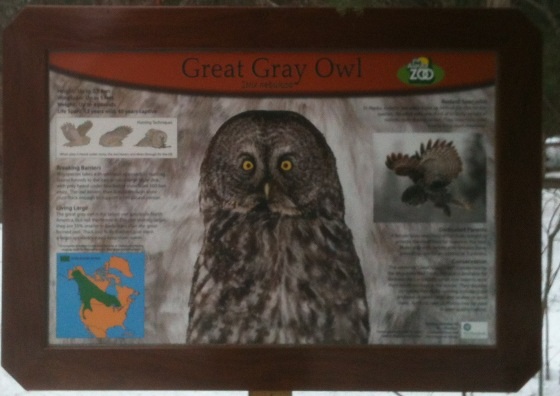 Great Gray Owl Educational Sign