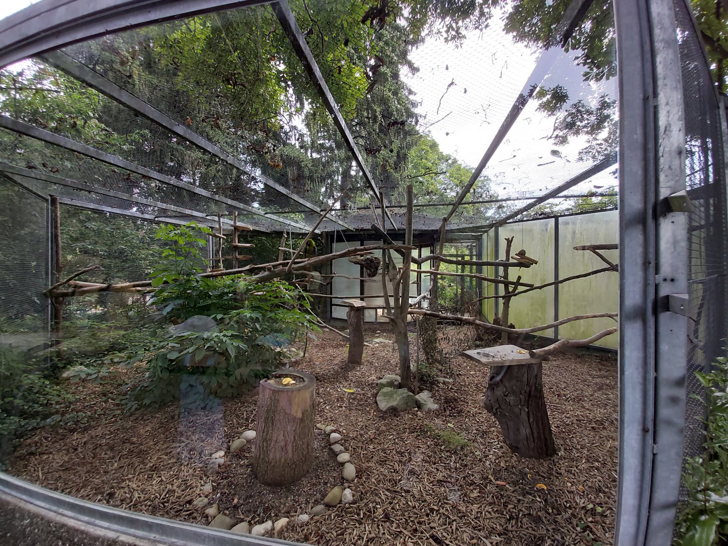Great green macaw aviary