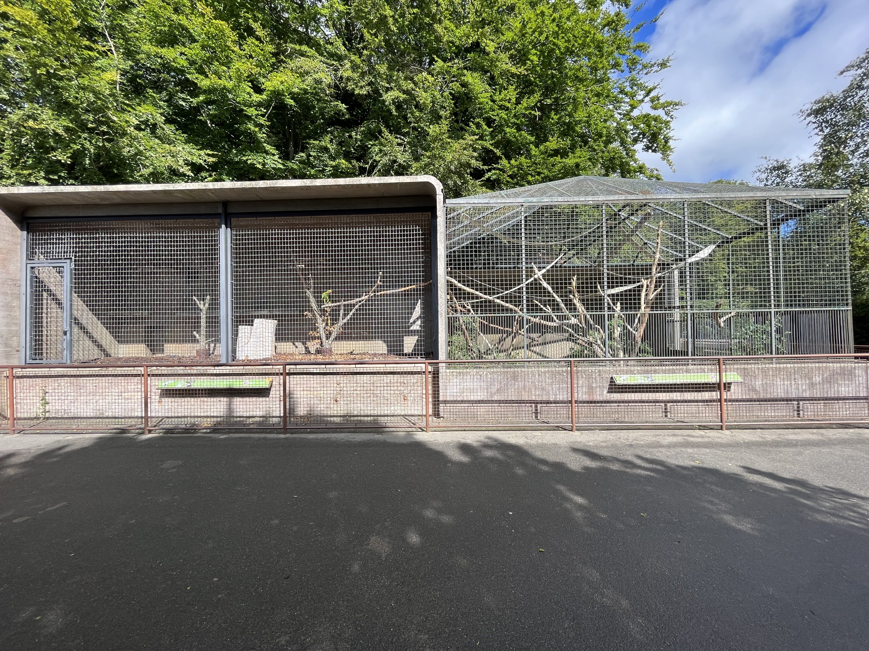 Great Green Macaw Aviary