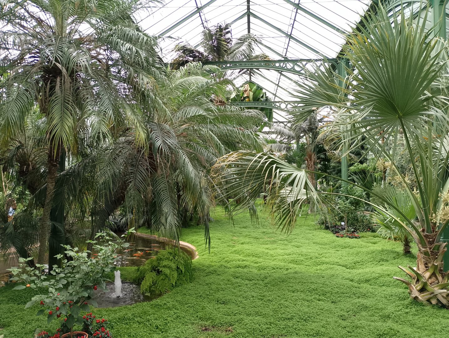 Great greenhouse overview