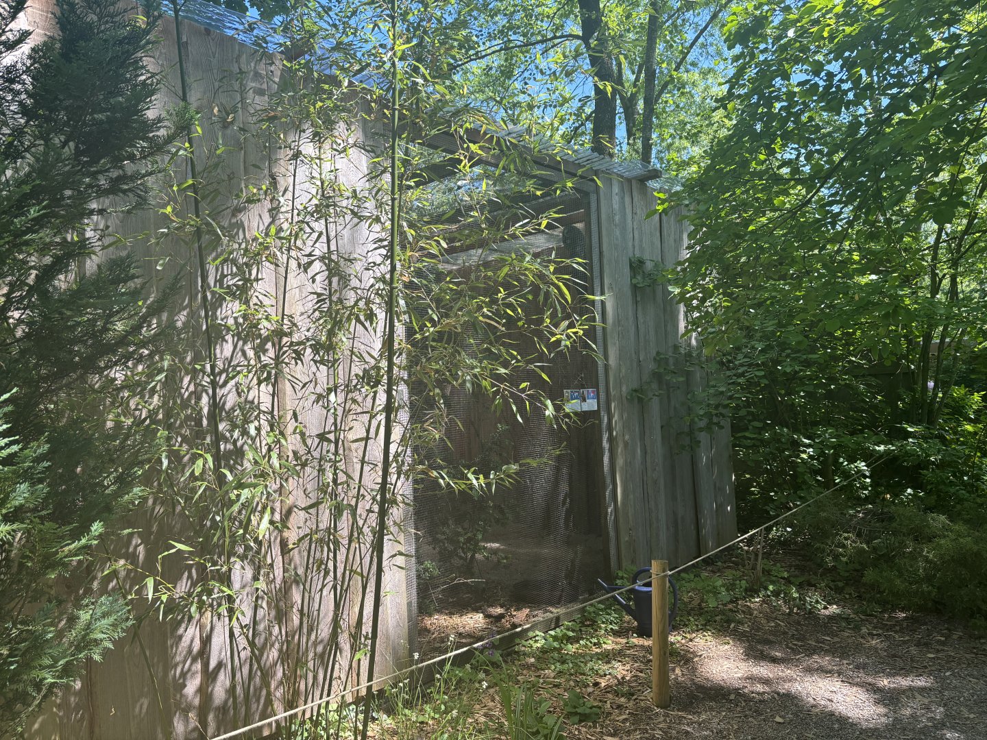 Great Grey Owl and Northern Hawk Owl Aviary