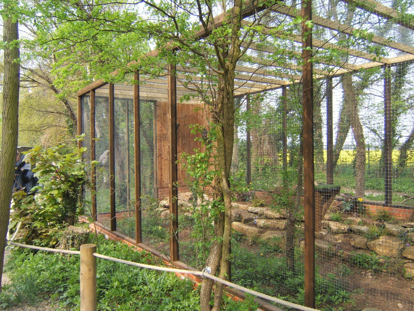 Great Grey Owl Aviary