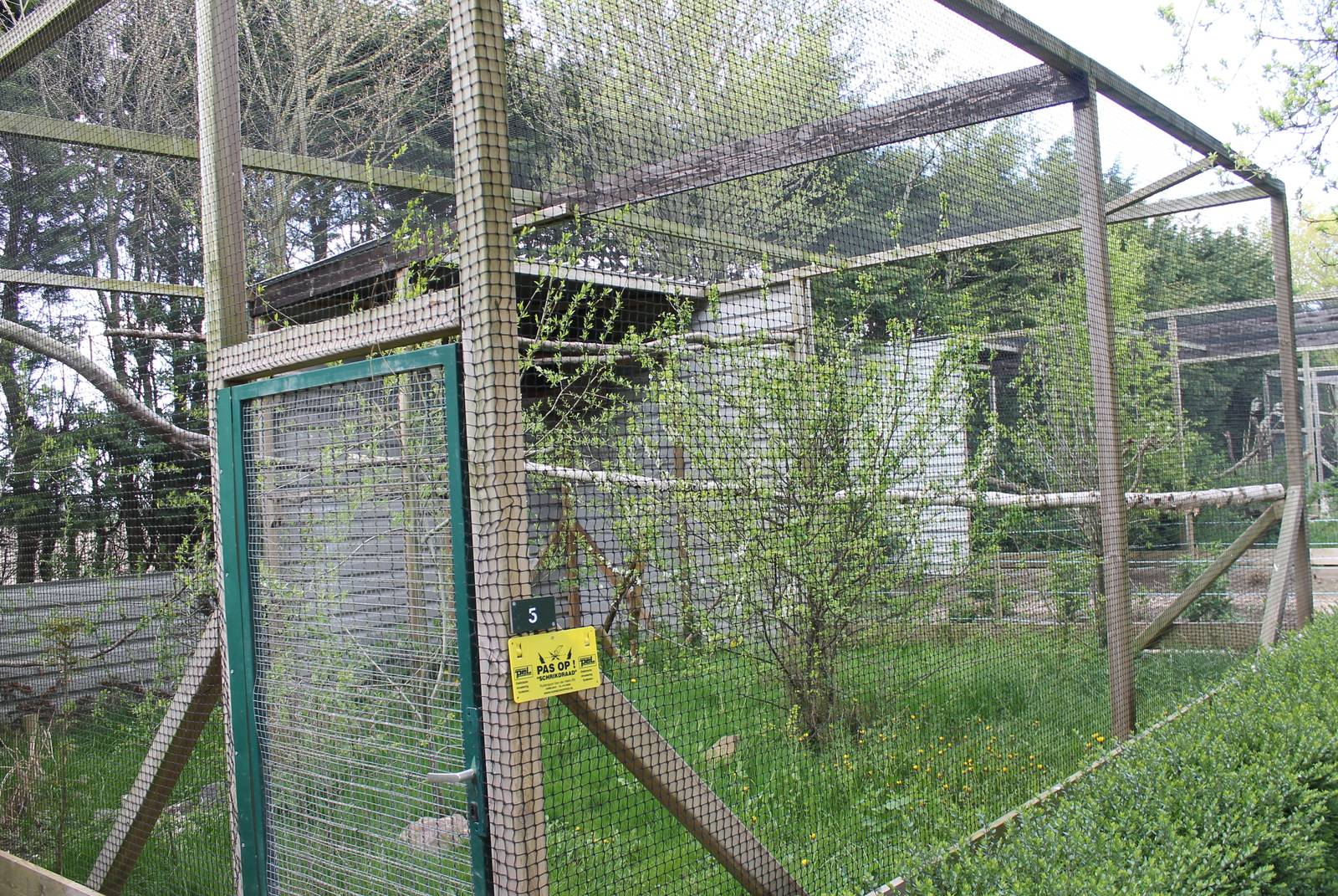 Great grey owl aviary