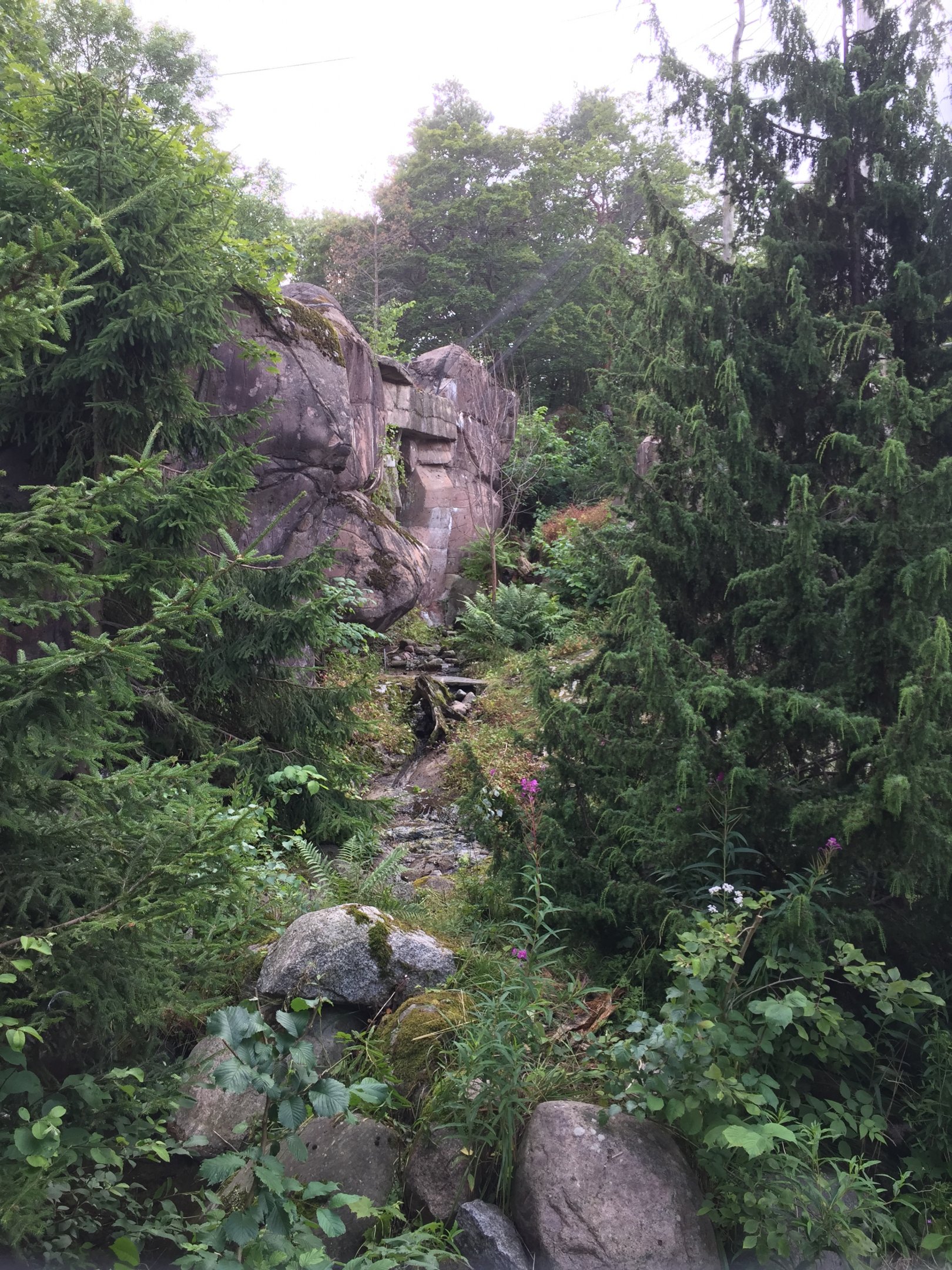 Great grey owl aviary