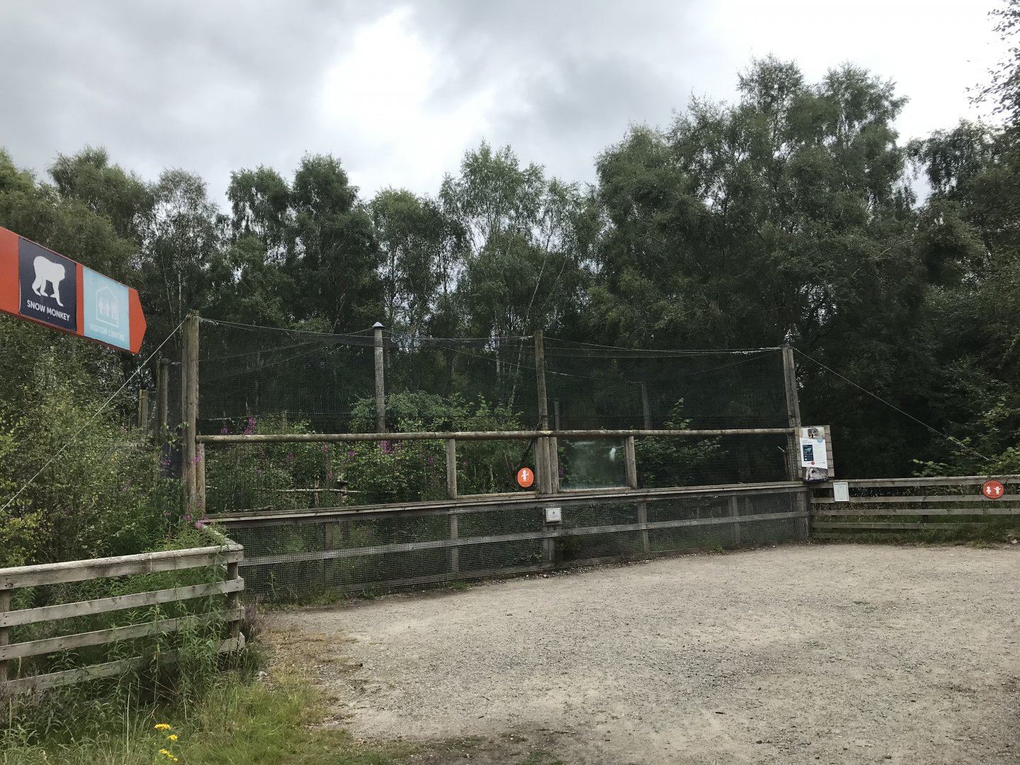 Great grey owl aviary