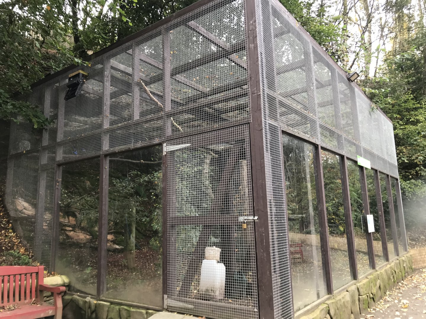 Great grey owl aviary