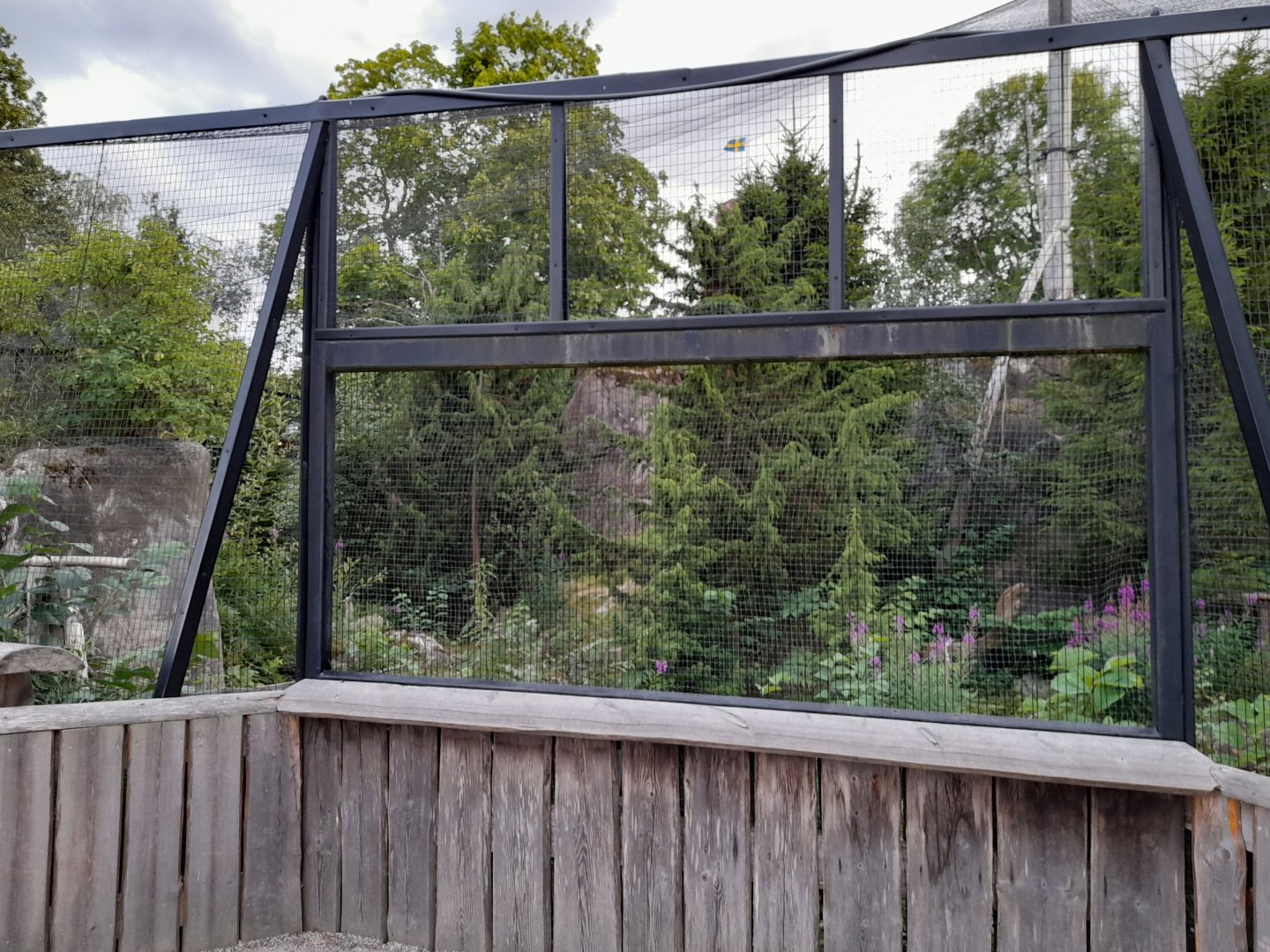 Great Grey owl aviary