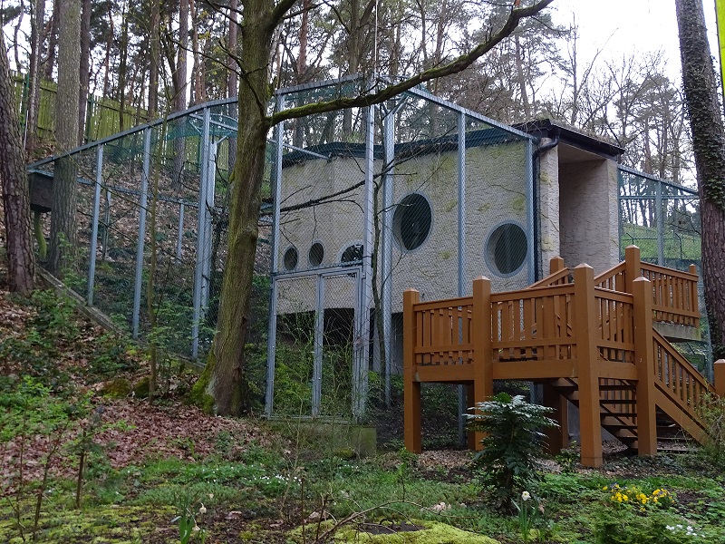 Great grey owl enclosure (04/23)