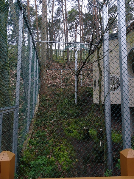 Great grey owl enclosure (04/23)