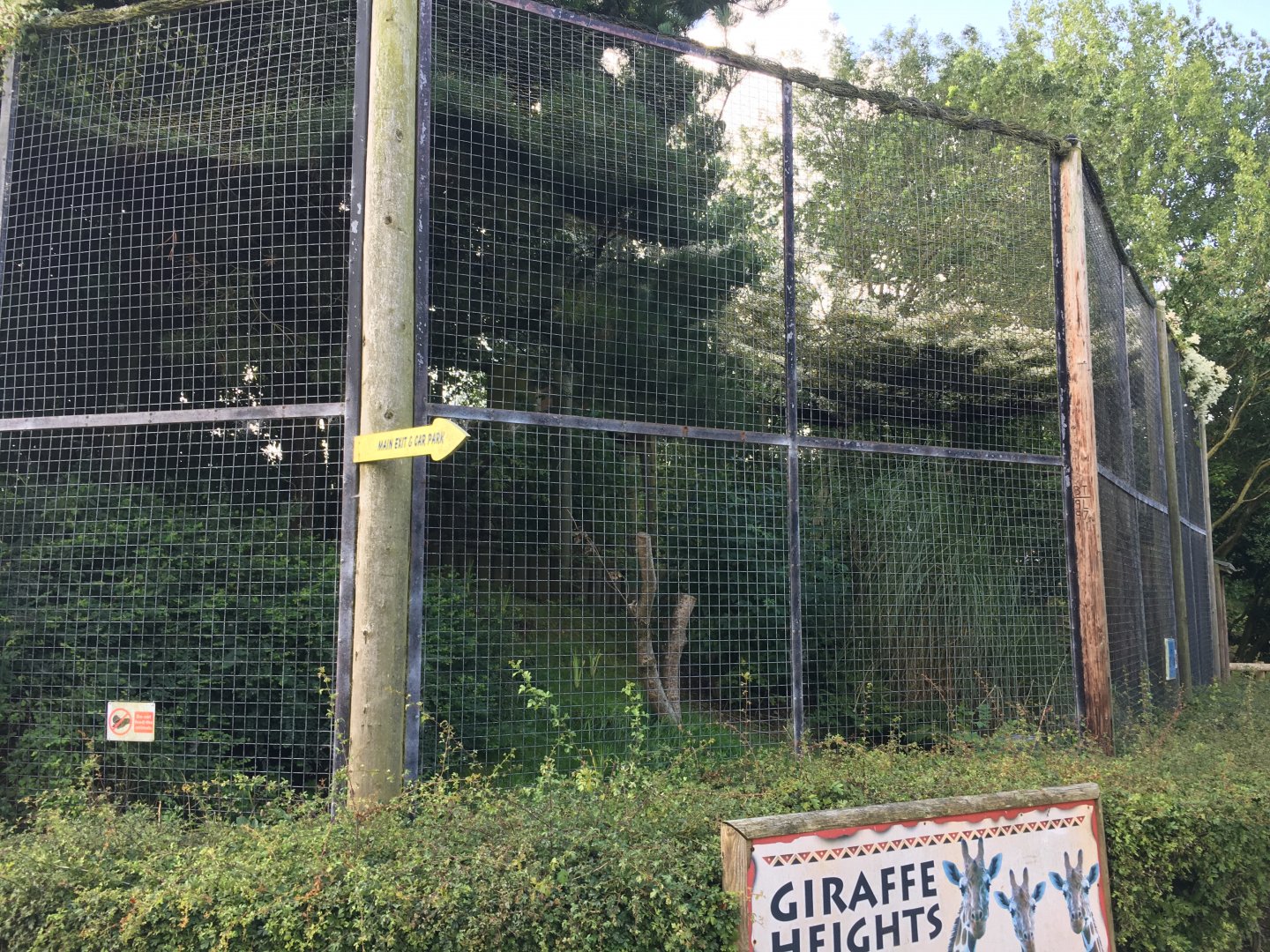 Great grey owl enclosure 040817
