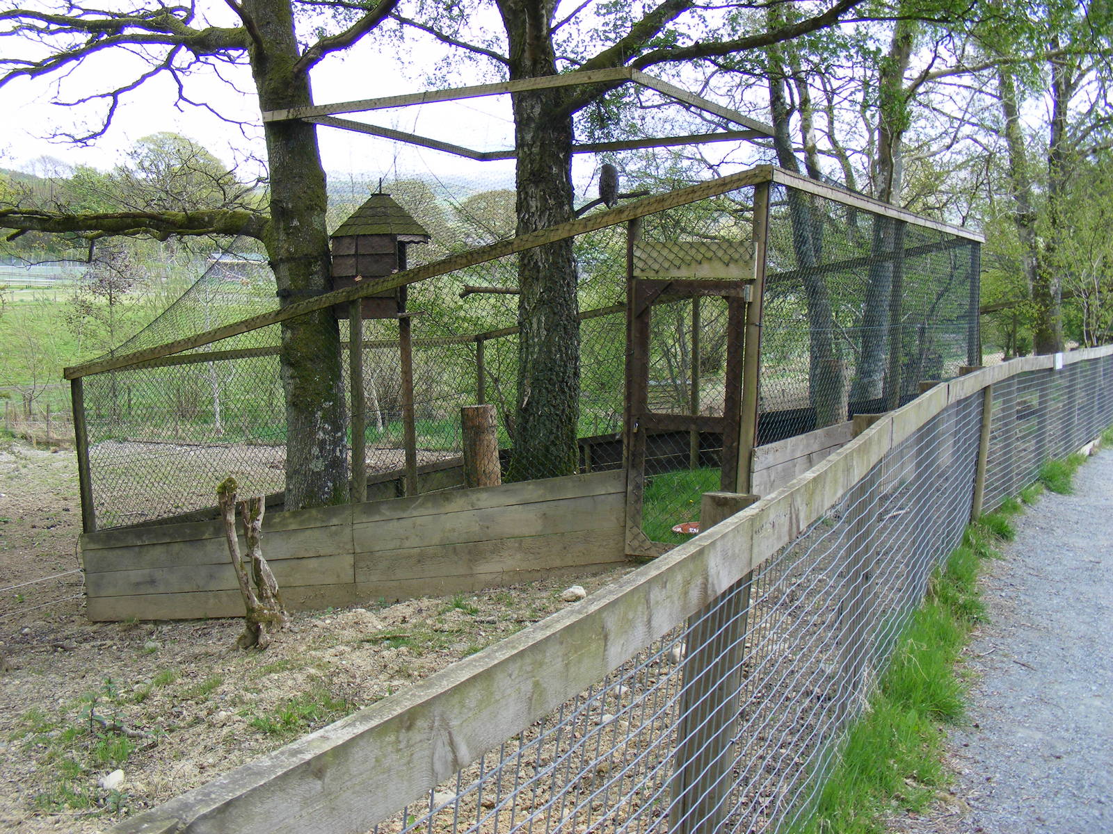 Great grey owl enclosure at Trotters World of Animals, 15 May 2010