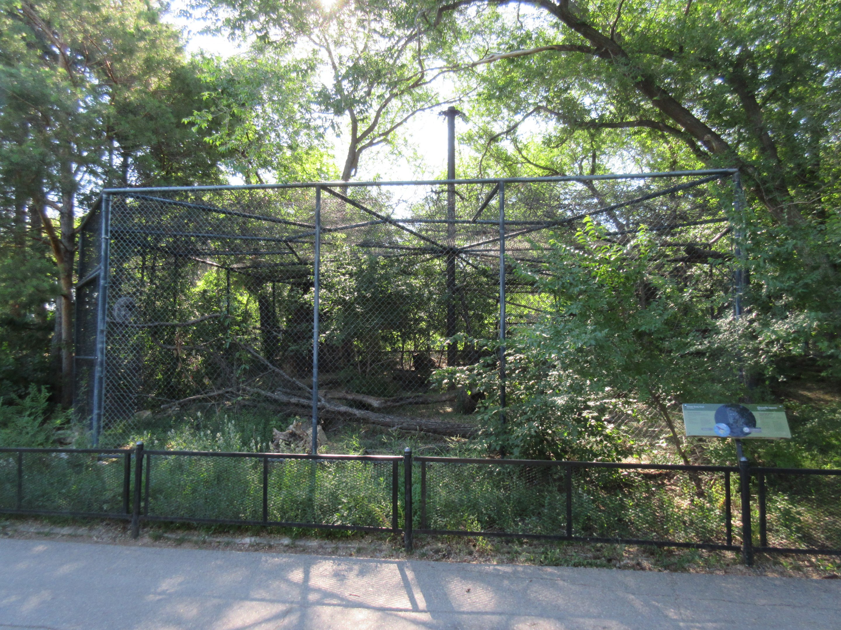 Great Grey Owl Exhibit