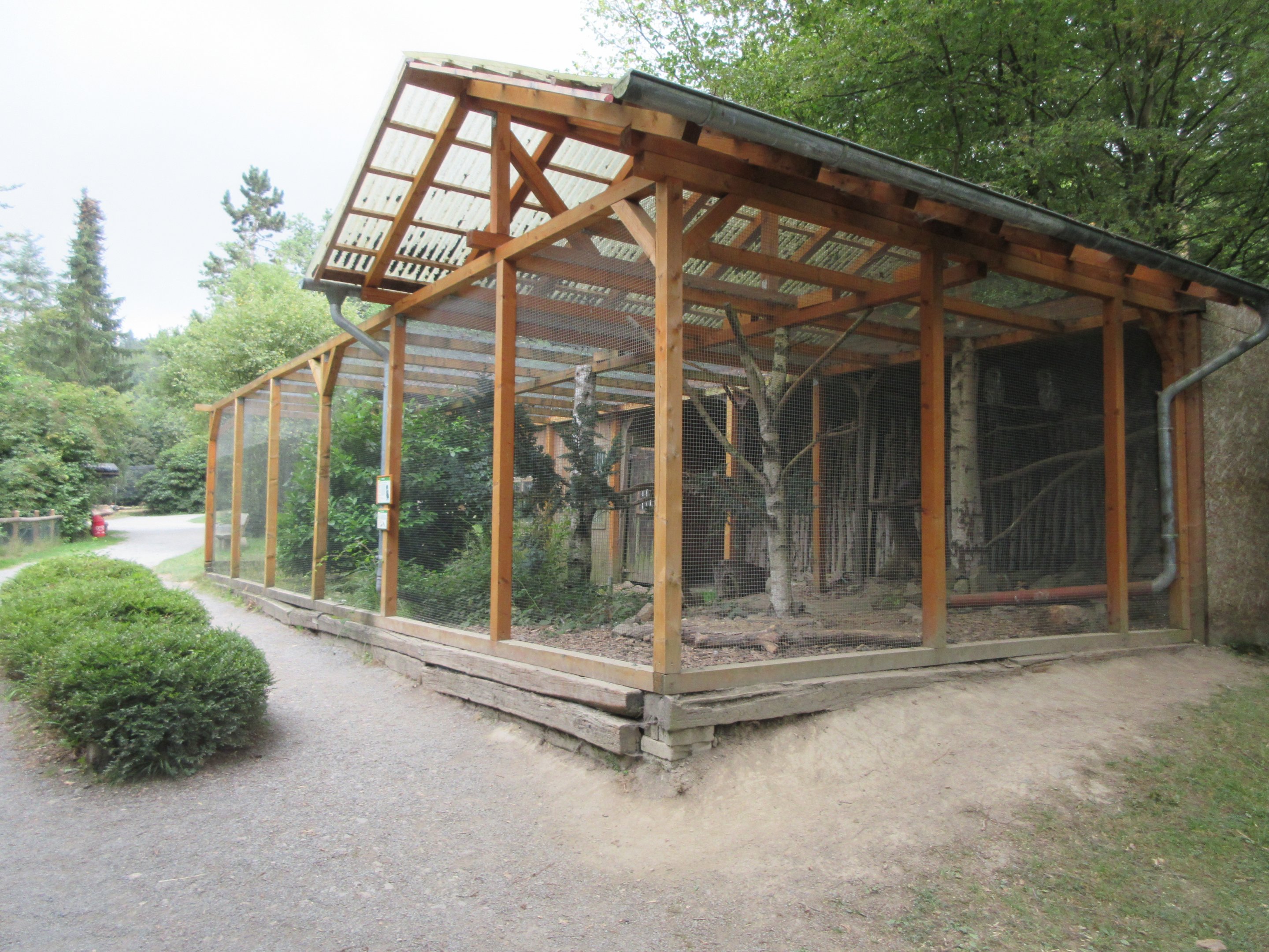 Great Grey Owl/Lady Amherst's Pheasant Exhibit