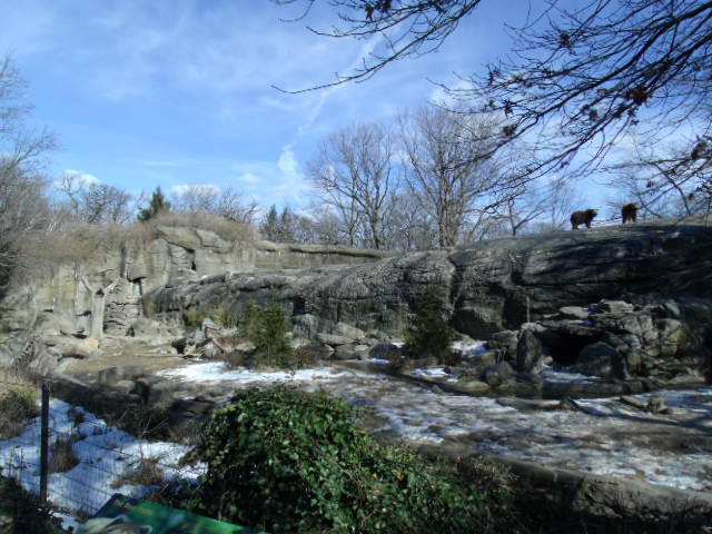 Great Grizzly Bear Exhibit