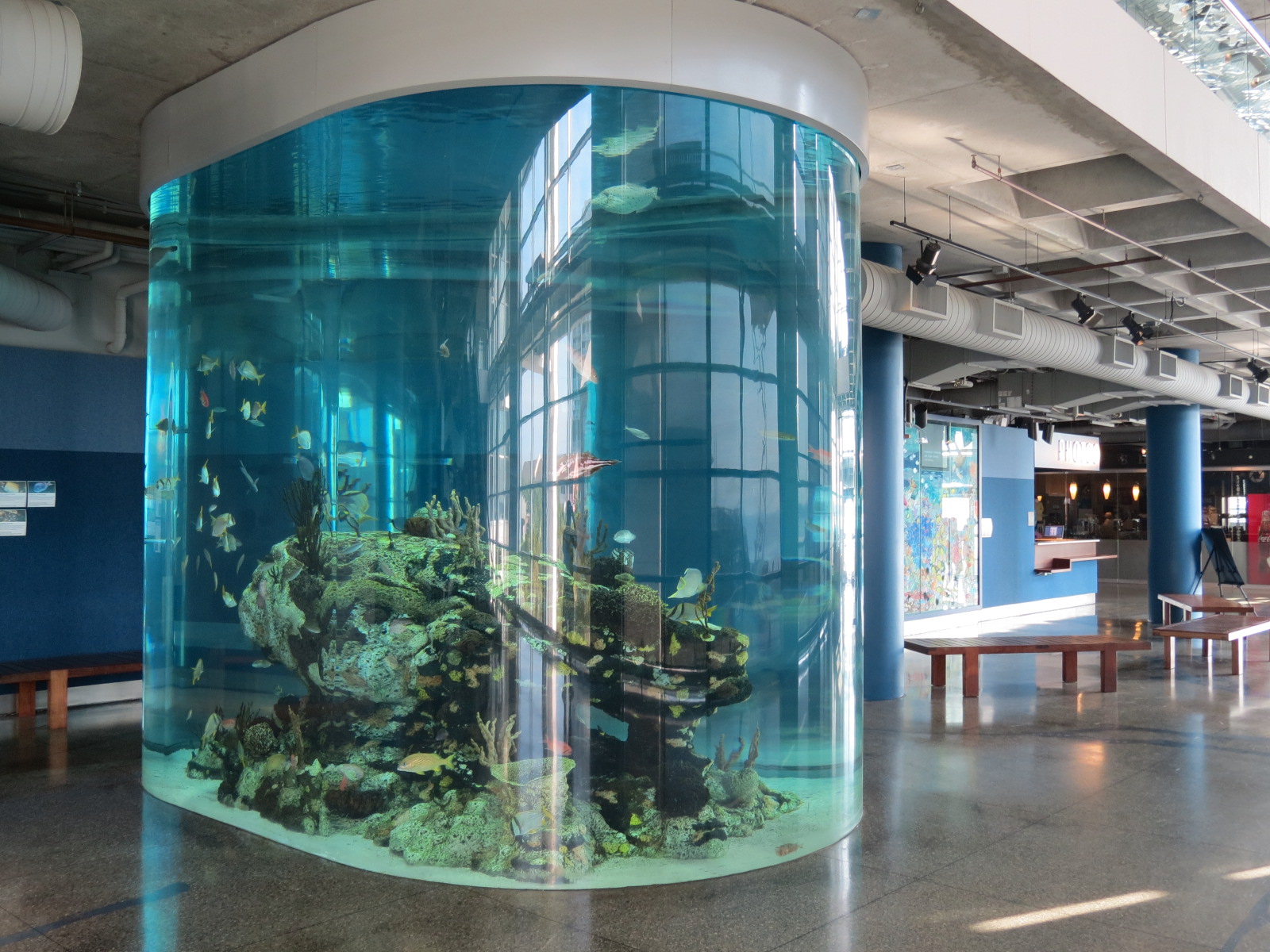 Great Hall - Column Tank