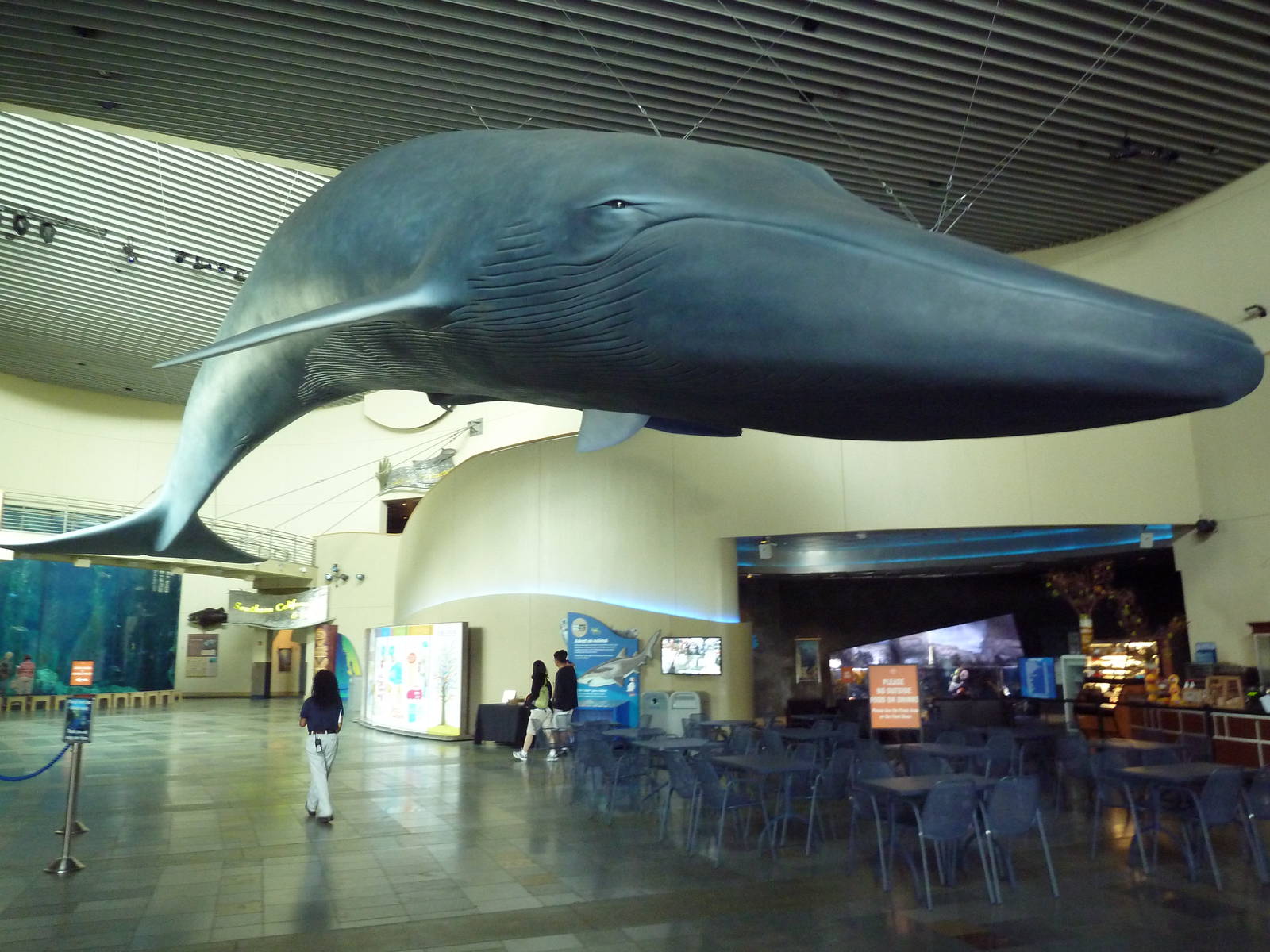 Great Hall Of The Pacific - Blue Whale Statue