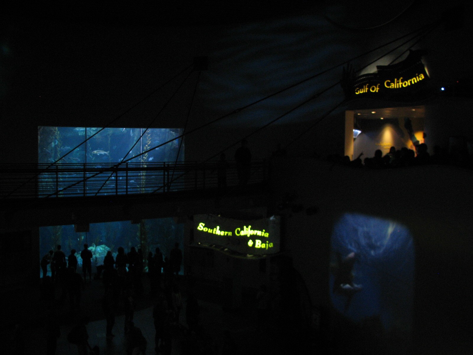 Great Hall of the Pacific - Bridge during Whales Show