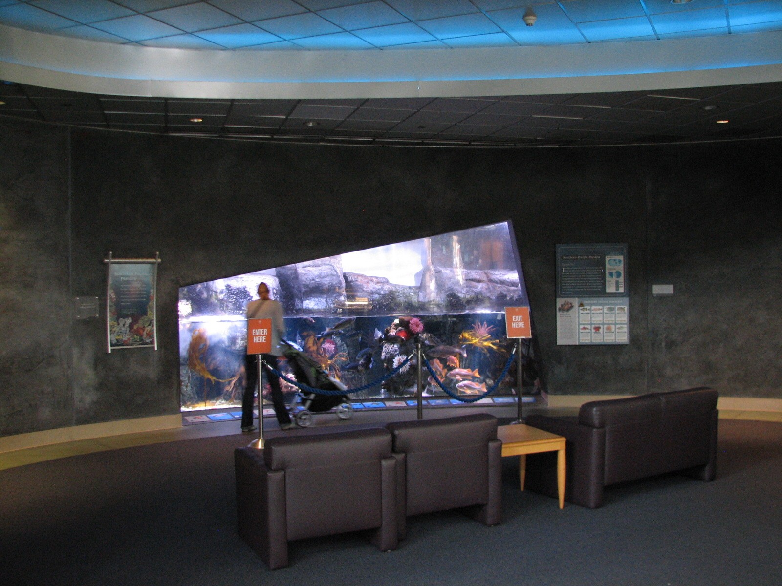 Great Hall of the Pacific - Northern Pacific Preview