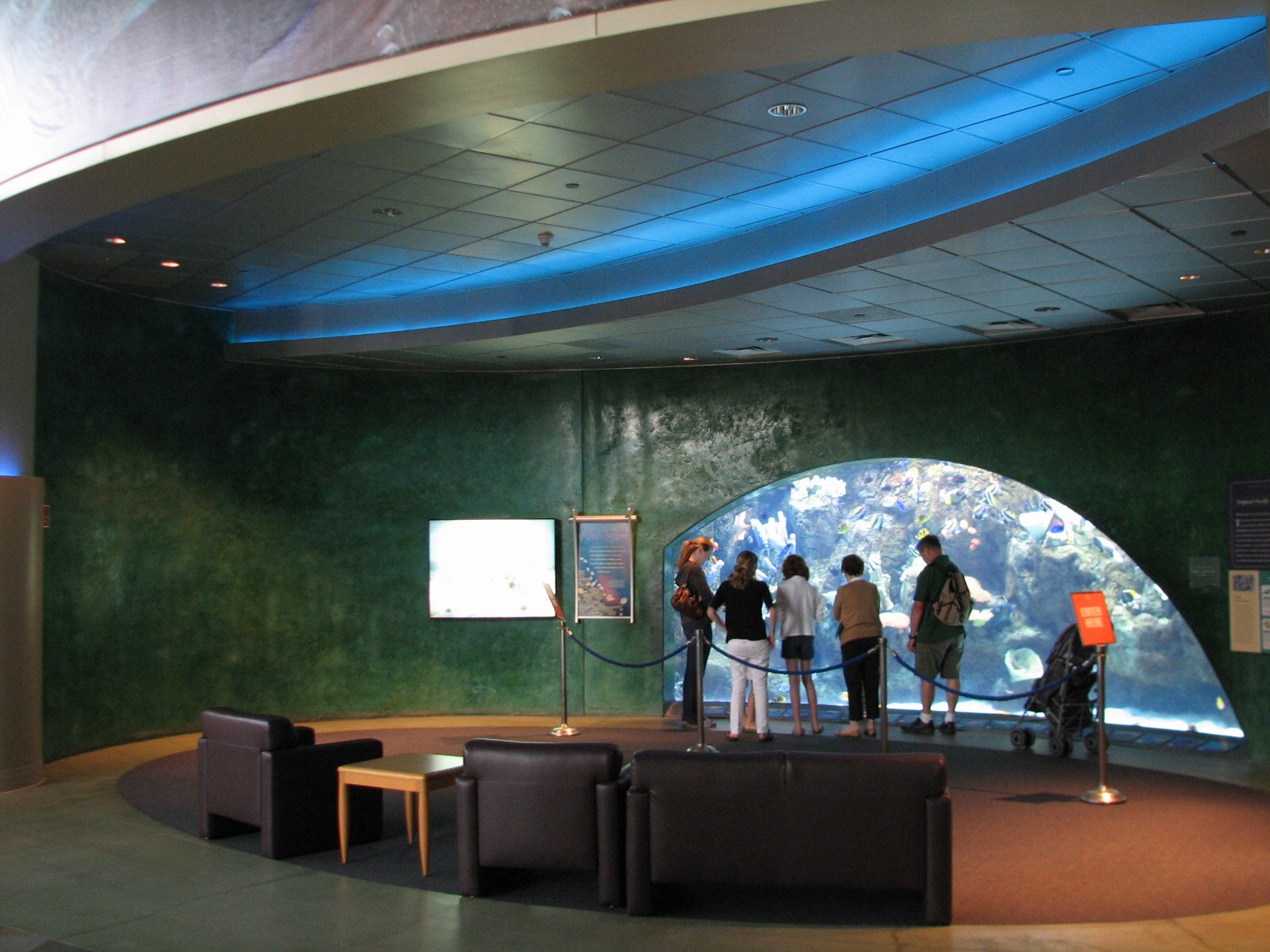 Great Hall of the Pacific - Tropical Pacific Preview