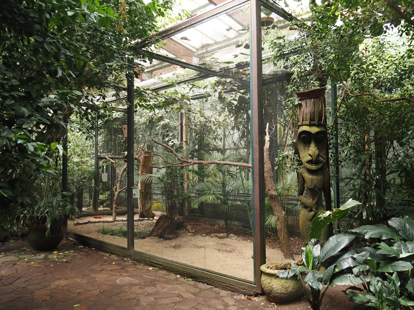 Great hornbill aviary, 2024-05-23