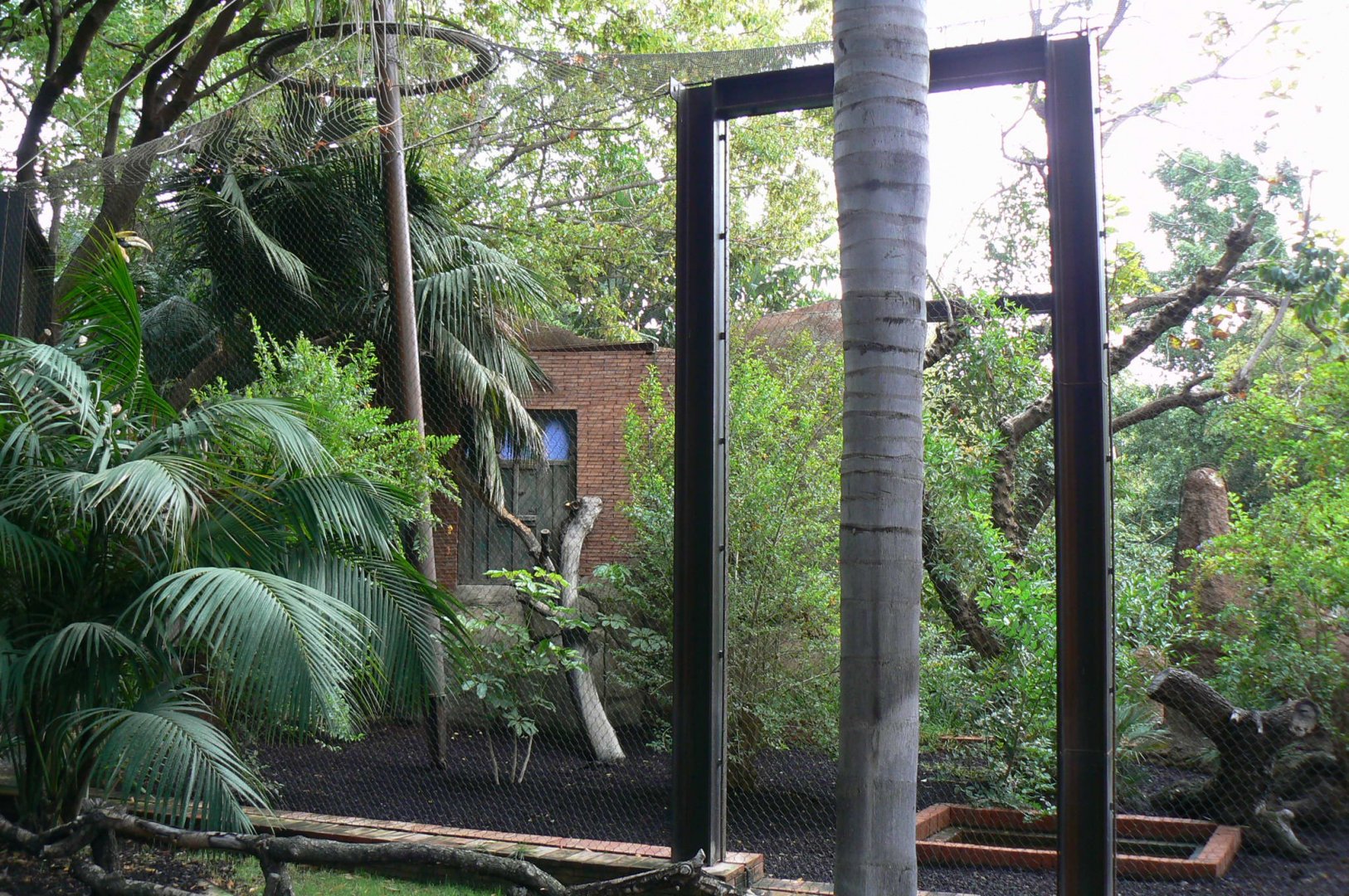 Great hornbill aviary