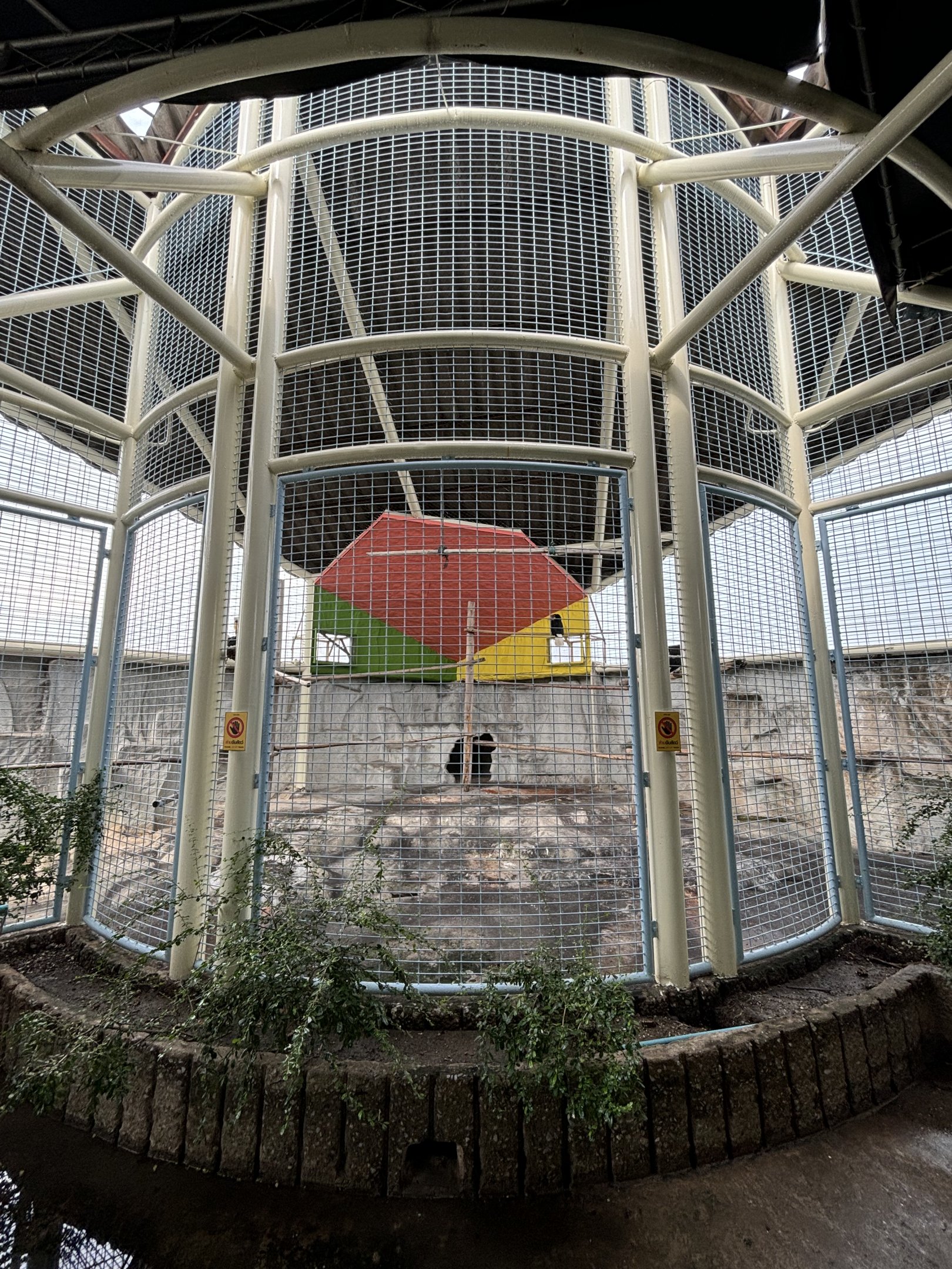 Great Hornbill Aviary