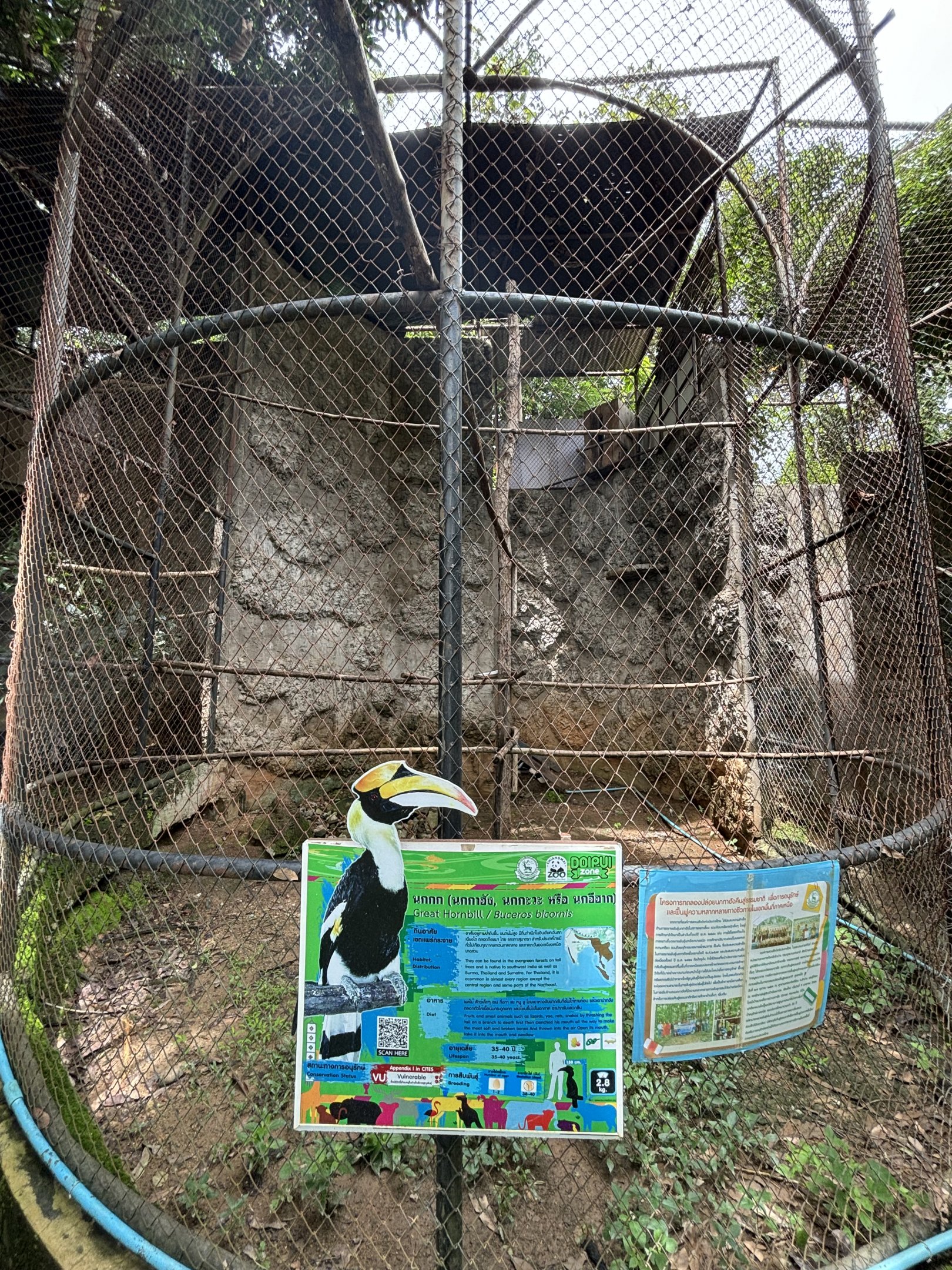 Great Hornbill Aviary