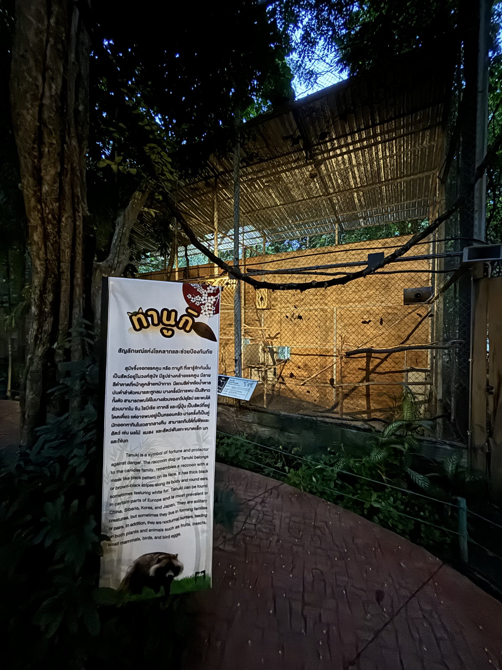 Great Hornbill Aviary